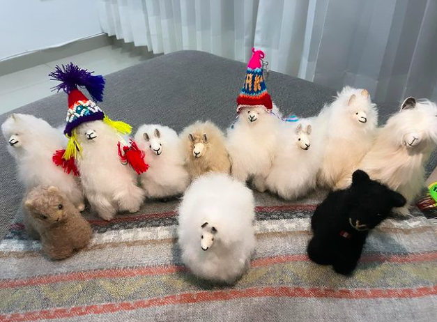 alpaca-plushies